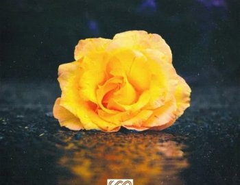 Soul Surplus Astra Hip-Hop Synthesis