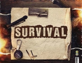 Flame Audio Survival