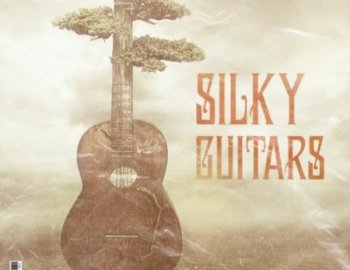 Cartel Loops Silky Guitars