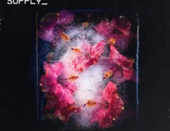 Sunday Supply Frozen Bloom