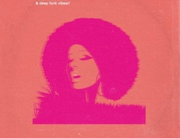 Samplestar Soulful Nu Funk