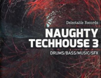 Delectable Records Naughty TechHouse 03