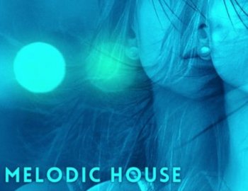 Amir Farhoodi Melodic House Vol.2 FL Studio Template