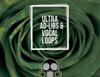 Vandalism Ultra Ad-Libs & Vocal Loops