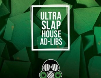 Vandalism Ultra Slap House Ad Libs