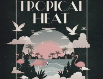 Famous Audio Tropical Heat