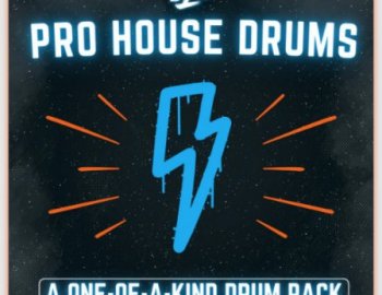Big Z Sounds Big Z's Pro House Drums