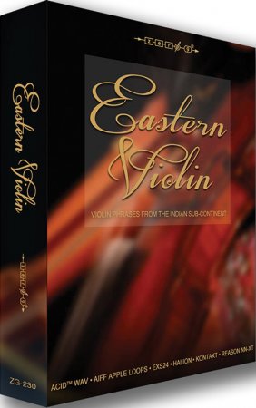 Zero-G Eastern Violin