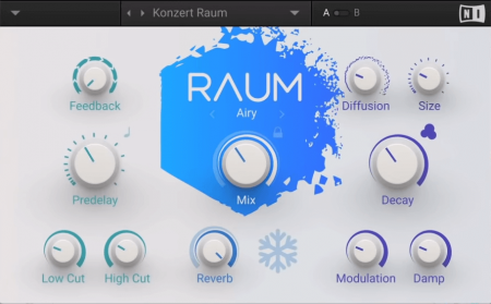 Native Instruments Raum v1.3.3
