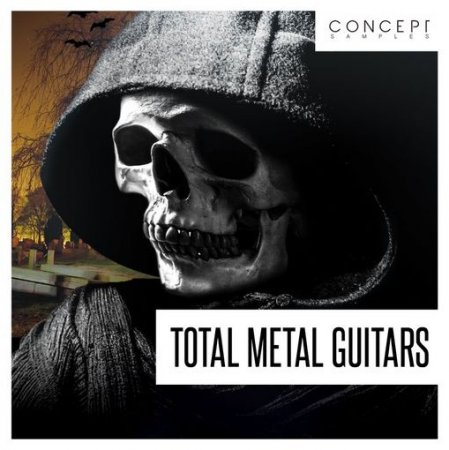 Concept Samples Total Metal Guitars