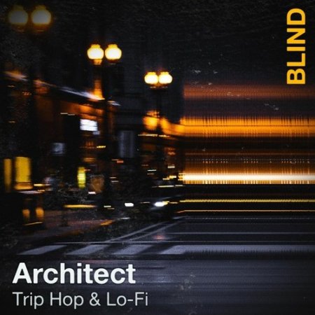 Blind Audio Architect Trip Hop & Lofi