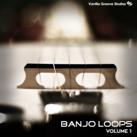 Vanilla Groove Studios Banjo Loops Vol 1