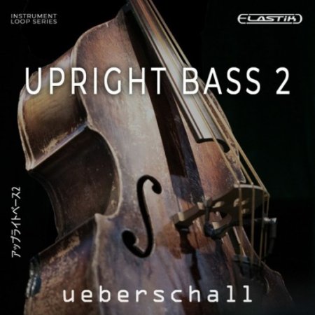 Ueberschall Upright Bass 2 (Elastik)