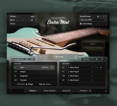 Native Instruments Session Guitarist Electric Mint (KONTAKT)