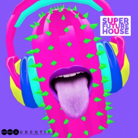 Audentity Records Super Future House