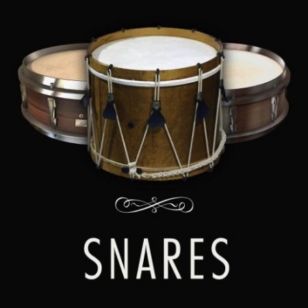 Versilian Studios Snares
