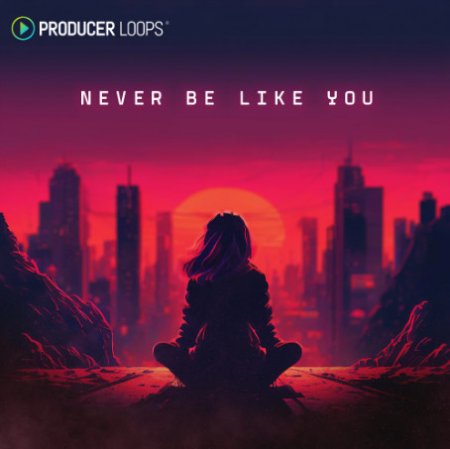 Producer Loops Never Be Like You