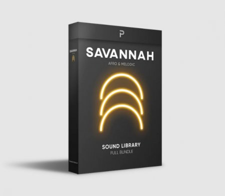 The Producer School Savannah - Afro & Melodic House