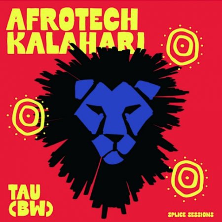 Splice Sessions Afrotech Kalahari - Tau
