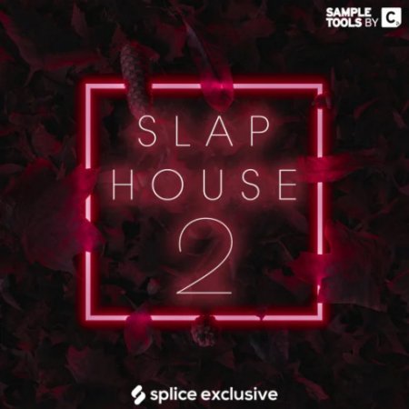 Sample Tools by Cr2 Slap House 2